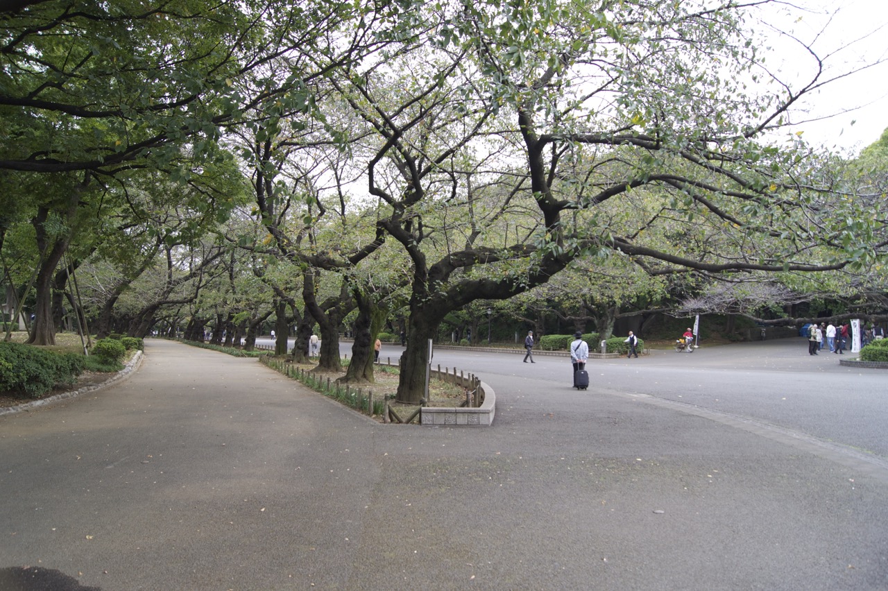A park in Tokyo.